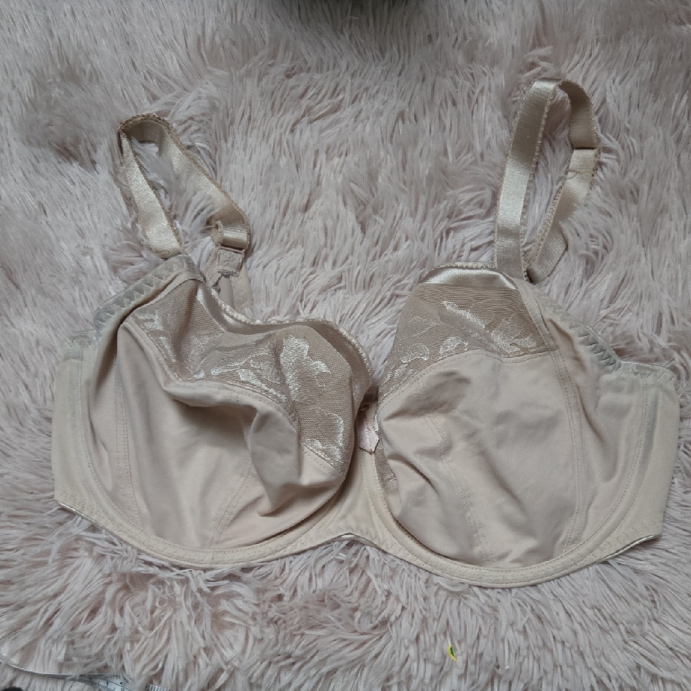 Fantasie Womens Cream Lace Underwire Bra 34H